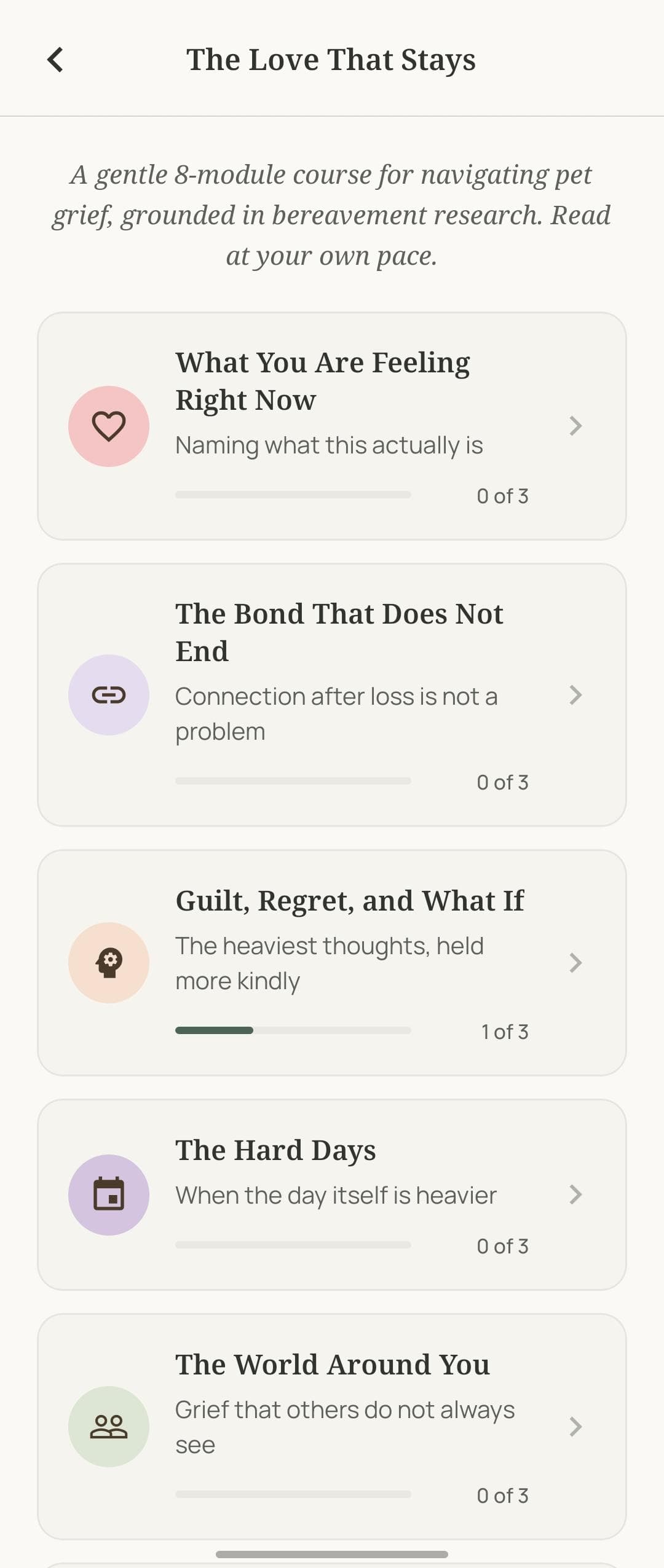 The Love That Stays course with eight modules