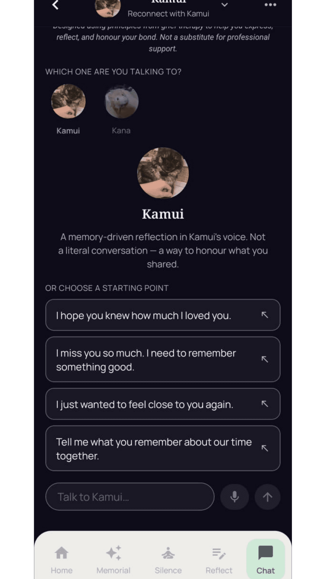 Reconnection chat with pet