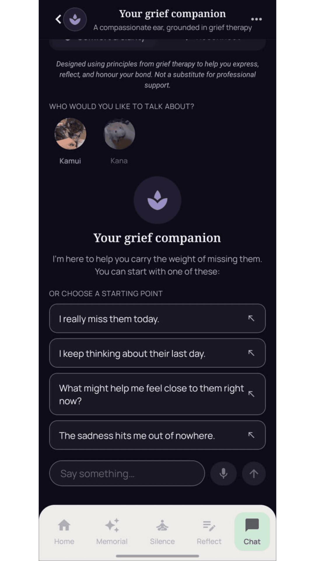 Unlimited companion conversation
