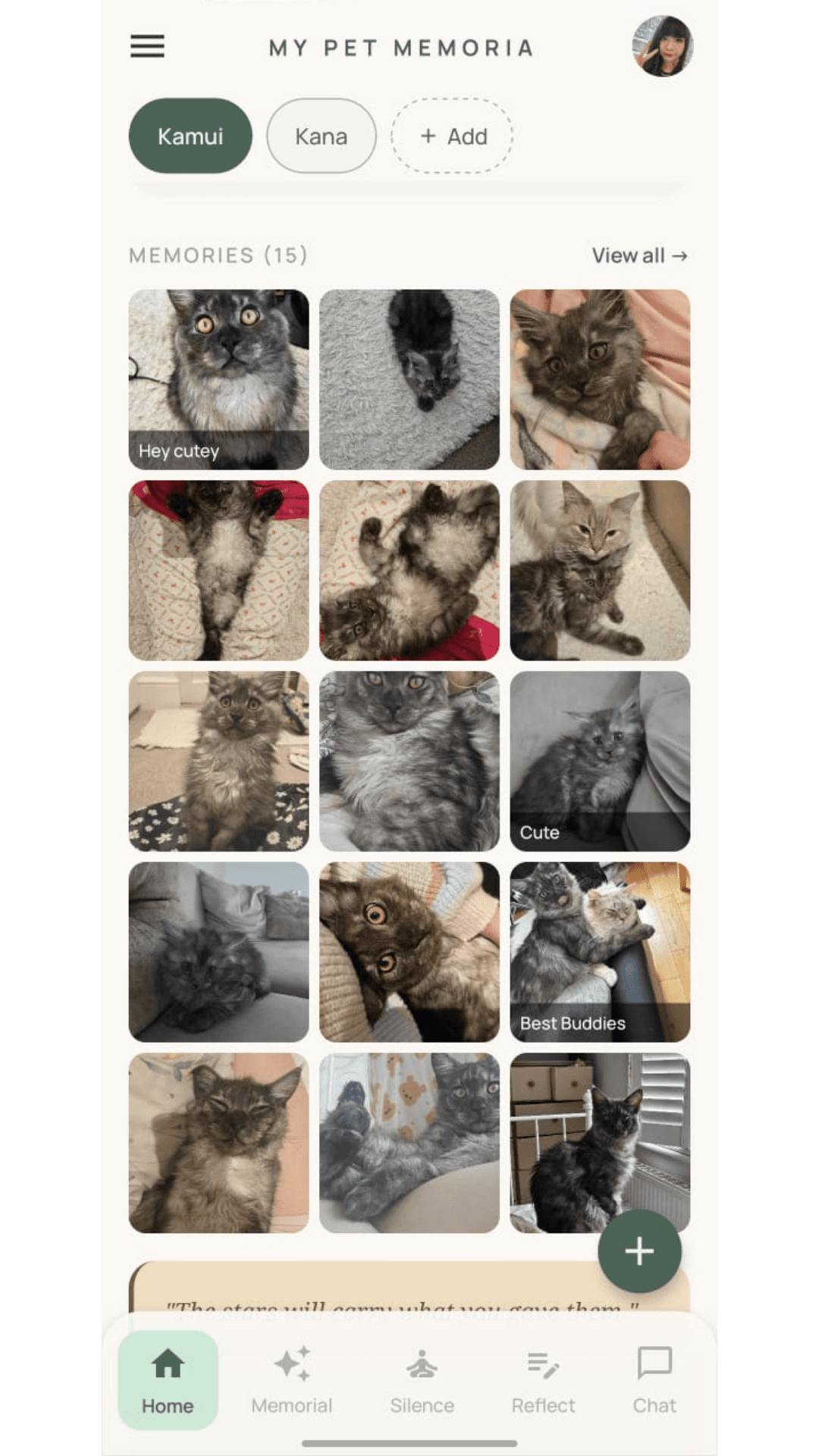 Pet memorial with photos, personality traits and milestones